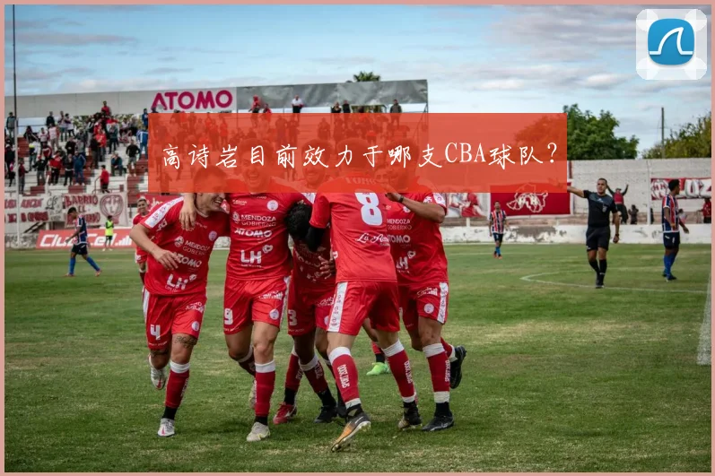 高诗岩目前效力于哪支CBA球队？