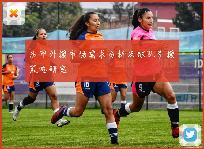 法甲外援市场需求分析及球队引援策略研究