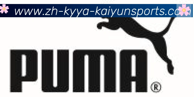 ky开云合作伙伴