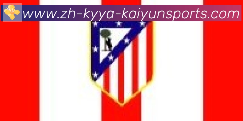 ky开云合作伙伴