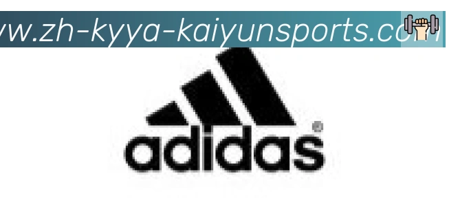 ky开云合作伙伴